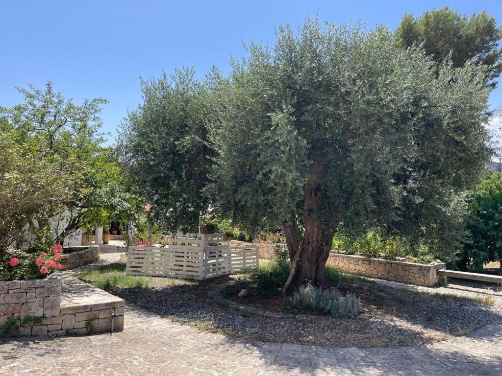הוילה צ'לייה מספיקה Il Giardino Degli Antichi Sapori מראה חיצוני תמונה